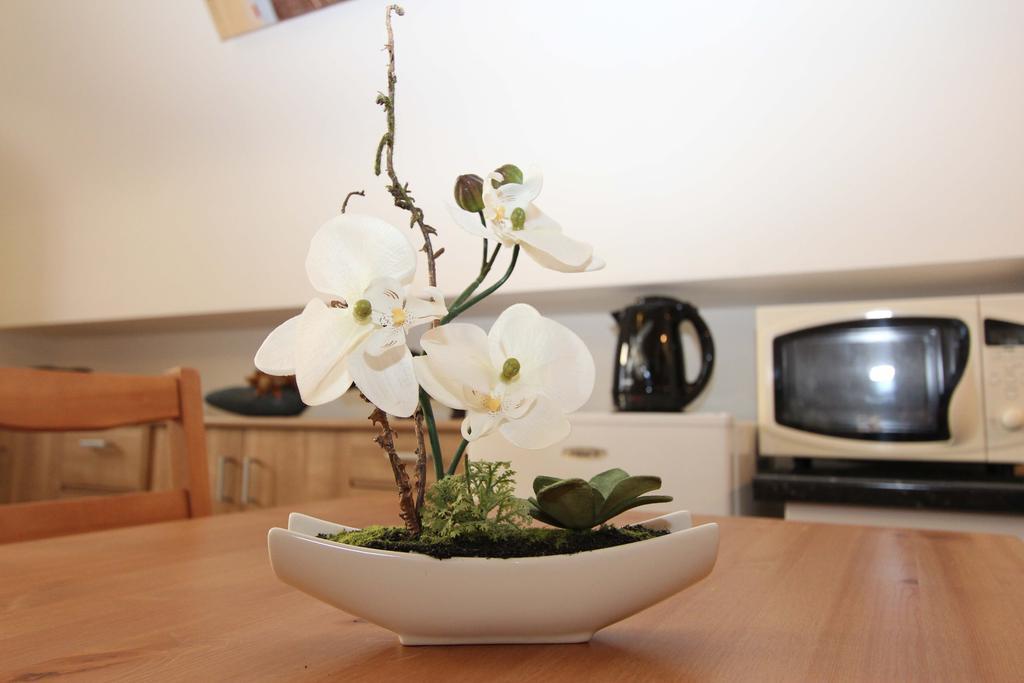 Apartamento Old Saxo